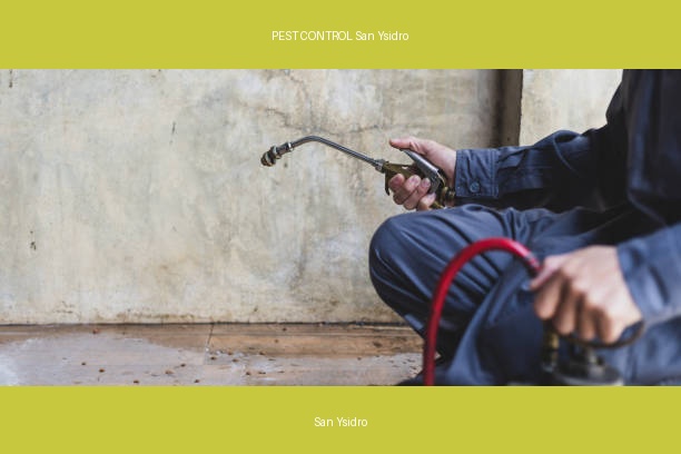 PEST CONTROL San Ysidro